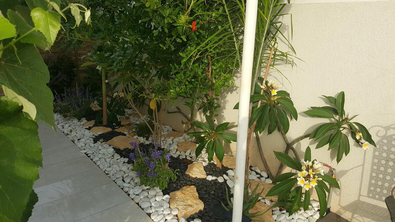 Regina'S Place Or Akiva 外观 照片