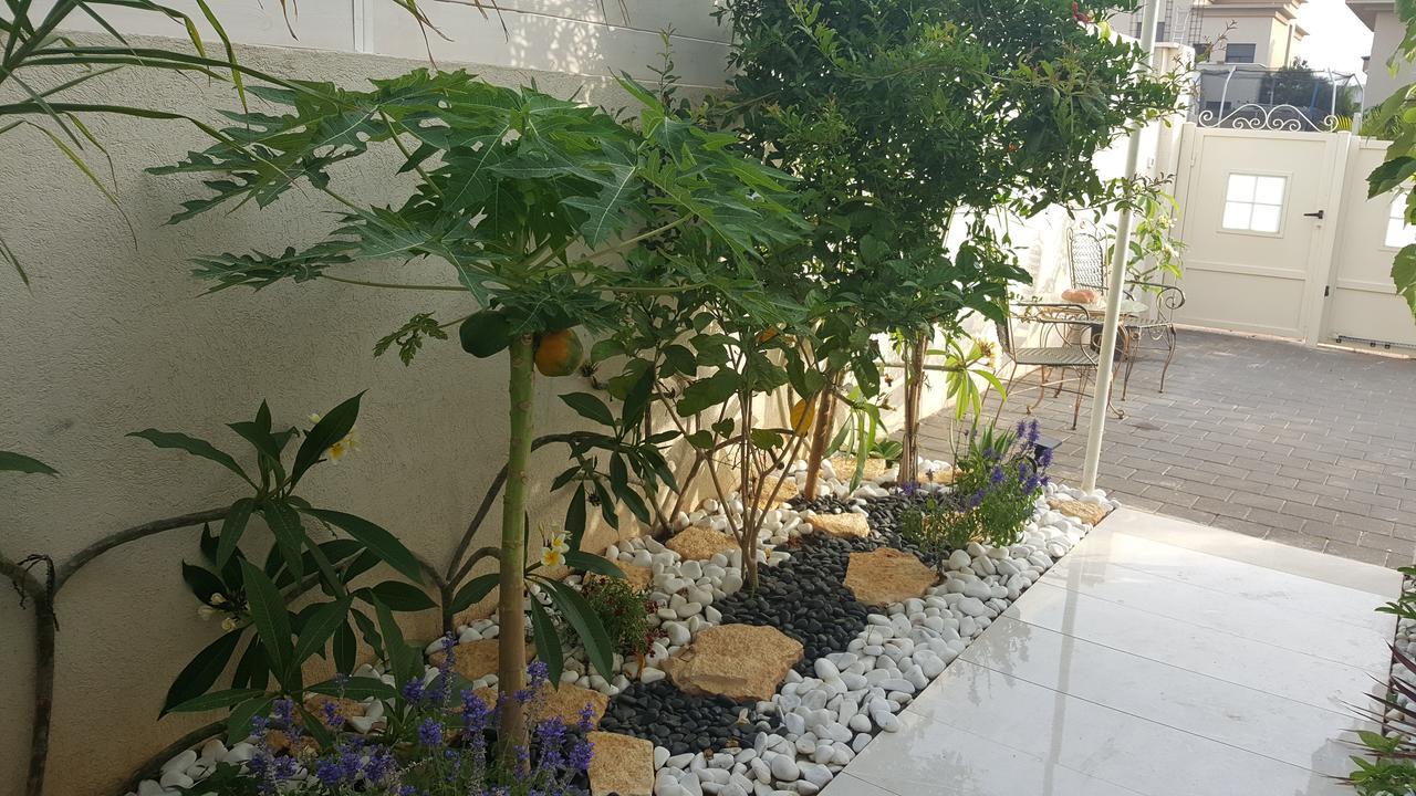 Regina'S Place Or Akiva 外观 照片